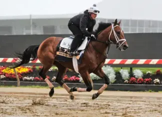 Preakness Stakes 2025: 150th Edition Set for May 17 at Pimlico Preakness Stakes 2025