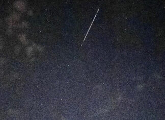 Starlink Satellites Spotted in North Carolina Skies: More Sightings Possible On Friday Night Starlink Satellites Spotted in North Carolina