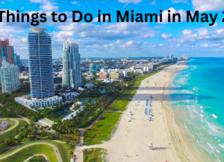 Top 10 Things to Do in Miami in May 2025 | Must-Visit Attractions Top Things to Do in Miami in May 2025