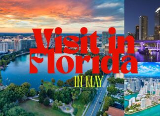 Best Places to Visit in Florida in May 2025: Weather & Fun