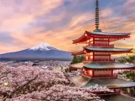 10 Best Neighborhoods to Visit in Tokyo – Culture, Fashion & Food 10 Best Neighborhoods to Visit in Tokyo