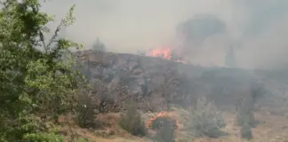 Euston Fire northwest of Redmond Burns 35 Acres, Triggers Evacuation Alerts Euston Fire northwest of Redmond