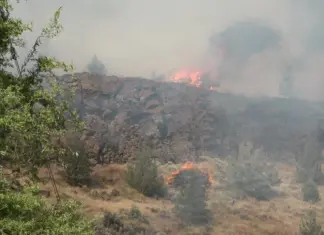 Euston Fire northwest of Redmond Burns 35 Acres, Triggers Evacuation Alerts Euston Fire northwest of Redmond