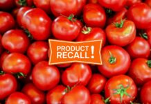 FDA Tomato Recall Salmonella 2025: Check If Your Tomatoes Are Affected FDA Tomato Recall Salmonella