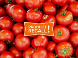 FDA Tomato Recall Salmonella 2025: Check If Your Tomatoes Are Affected FDA Tomato Recall Salmonella