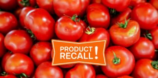 FDA Tomato Recall Salmonella 2025: Check If Your Tomatoes Are Affected FDA Tomato Recall Salmonella