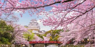 Best Time to Visit Japan & 10 Must-Visit Places | Japan Travel Guide 2025 best time to visit Japan