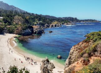 How to Choose Your Perfect Travel Credit Card and Maximize Rewards