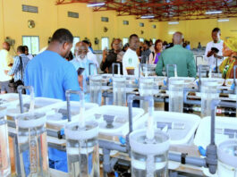 Journey Across Burkina Faso’s Cultural, Commercial, and Industrial Landscape