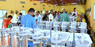 Journey Across Burkina Faso’s Cultural, Commercial, and Industrial Landscape