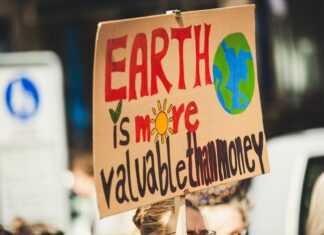 Investing According To Your Values